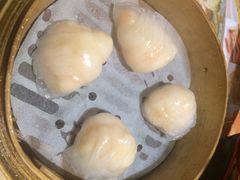 添好运点心专门店(北角店)-添好运点心专门店(北角店)
