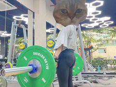 -VPsmart私教健身工作室(新华路旗舰店)