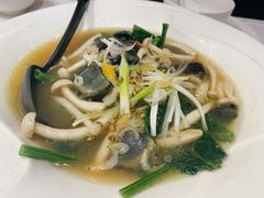 -峨嵋一派