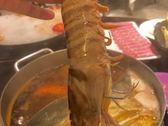 -好彩海鲜火锅饭店(银河百老汇店)