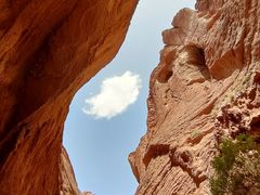 -天山神秘大峡谷