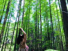-山王坪喀斯特国家生态公园