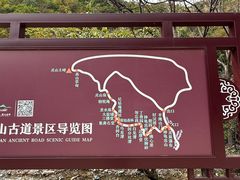 -灵山