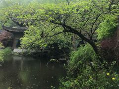 -乾园.魏庐湖景餐厅(花港店)