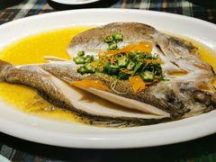 鸡汁蒸海鲈鱼-幸福哟烧鸡·粤菜海鲜私厨(七星路店)