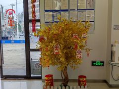 -中国民生银行(上海同福支行)