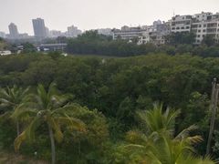 -金鸡岭桥头公园