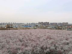-明秦王墓遗址