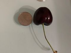 -西郊国际农产品交易中心