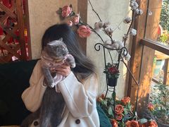 -豌豆小院咖啡馆