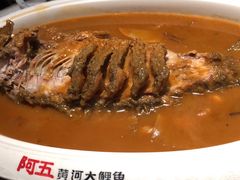 -阿五黄河大鲤鱼(英协路店)