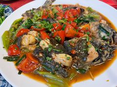 -生态苑农庄(十里画廊遇龙河店)