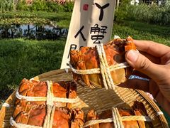 -丫丫蟹庄·蟹宴阁农家乐(阳澄湖莲花岛店)