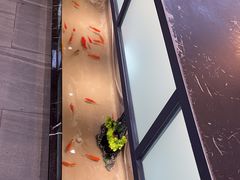 -邵汇大虾火锅(鲁迅路店)