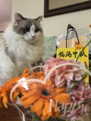 -倩极·精研痘敏肌管理