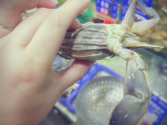 -海味当家·蒸锅海鲜(星海公园店)
