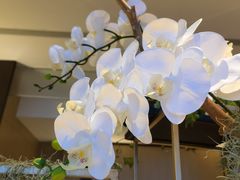 -金陵饭店 56F 家·海鲜火锅餐厅