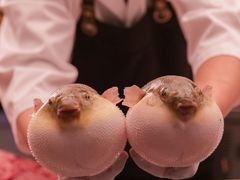 -鳥喜Toriki怀石烧鸟料理