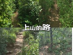 -妙峰山风景名胜区