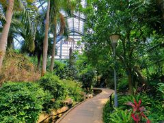 -南山植物园