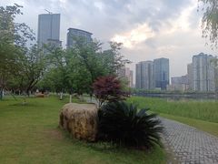 -西北湖绿化广场