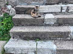 -四门塔风景区