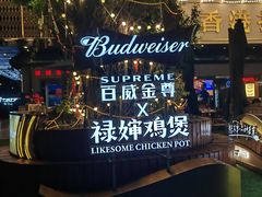 -禄婶鸡煲·打边炉