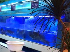 -永安水煮活鱼·仪征菜(仪征奥林匹克店)