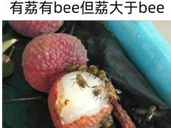 -龙泉人椰子鸡(龙昆南店)