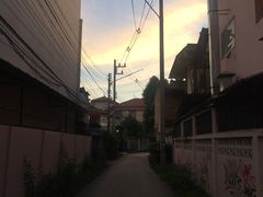 -芒果糯米饭摊子