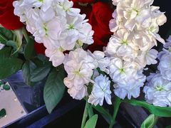 -雪蔓之鲜花气球派对(家佳源时代中心店)