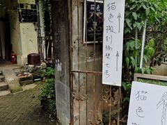 -猫色咖啡·猫咖