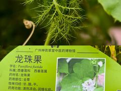 -广州神农草堂中医药博物馆