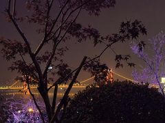 -龟山风景区-龟山电视塔