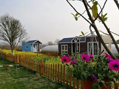 阳春三月的龙湖东院特色民宿农庄-龙湖东院农庄(乡间小路店)