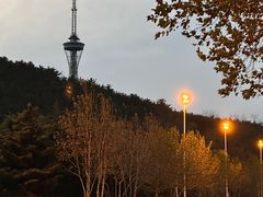 -丁家河公园