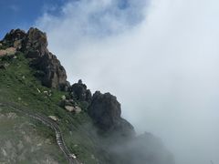 -白草畔自然风景区