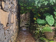 -许家山