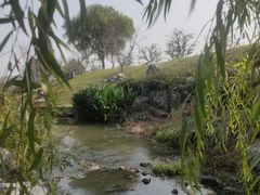 -羊山湖公园
