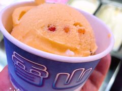 沙棘冰激凌-雪山晋乡楼(食品街店)