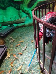 -酷嗒动物文化乐园(cutezoo西溪乐天城店)