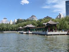-莲花池公园