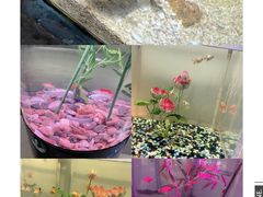 -常州海昌海洋探索馆