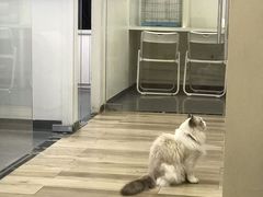 -拜鲁耶动物诊疗中心·宠家动物医院