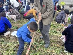 -华杉幼儿园(青塔校区)