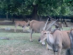 -西安秦岭野生动物园