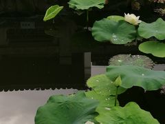 -厦门园林博览苑