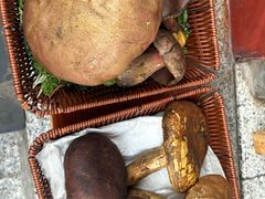 -草墩罗非鱼庄•野生菌•腊排骨(七星街上段店)