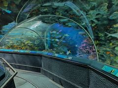 -上海海洋水族馆