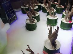 -海鼎荟海鲜姿造(晋江宝龙店)